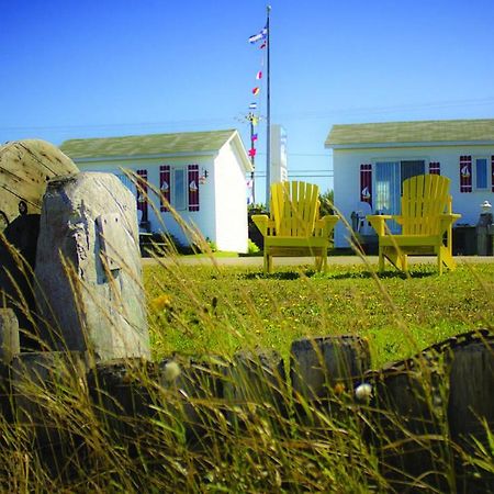 Les Cabines Du Phare Rimouski Eksteriør billede